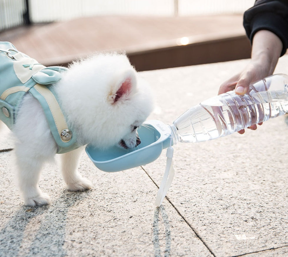 Teddy portable drinking water bottle