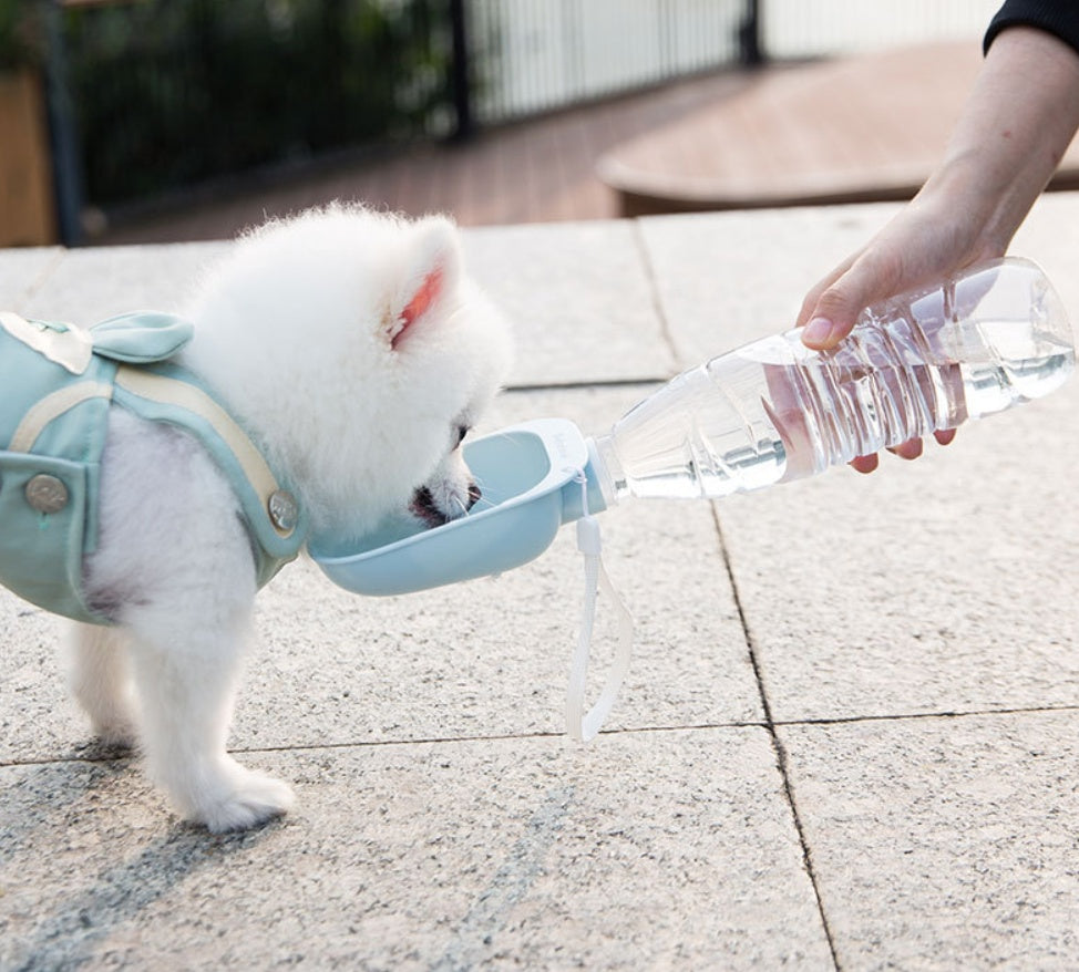 Teddy portable drinking water bottle