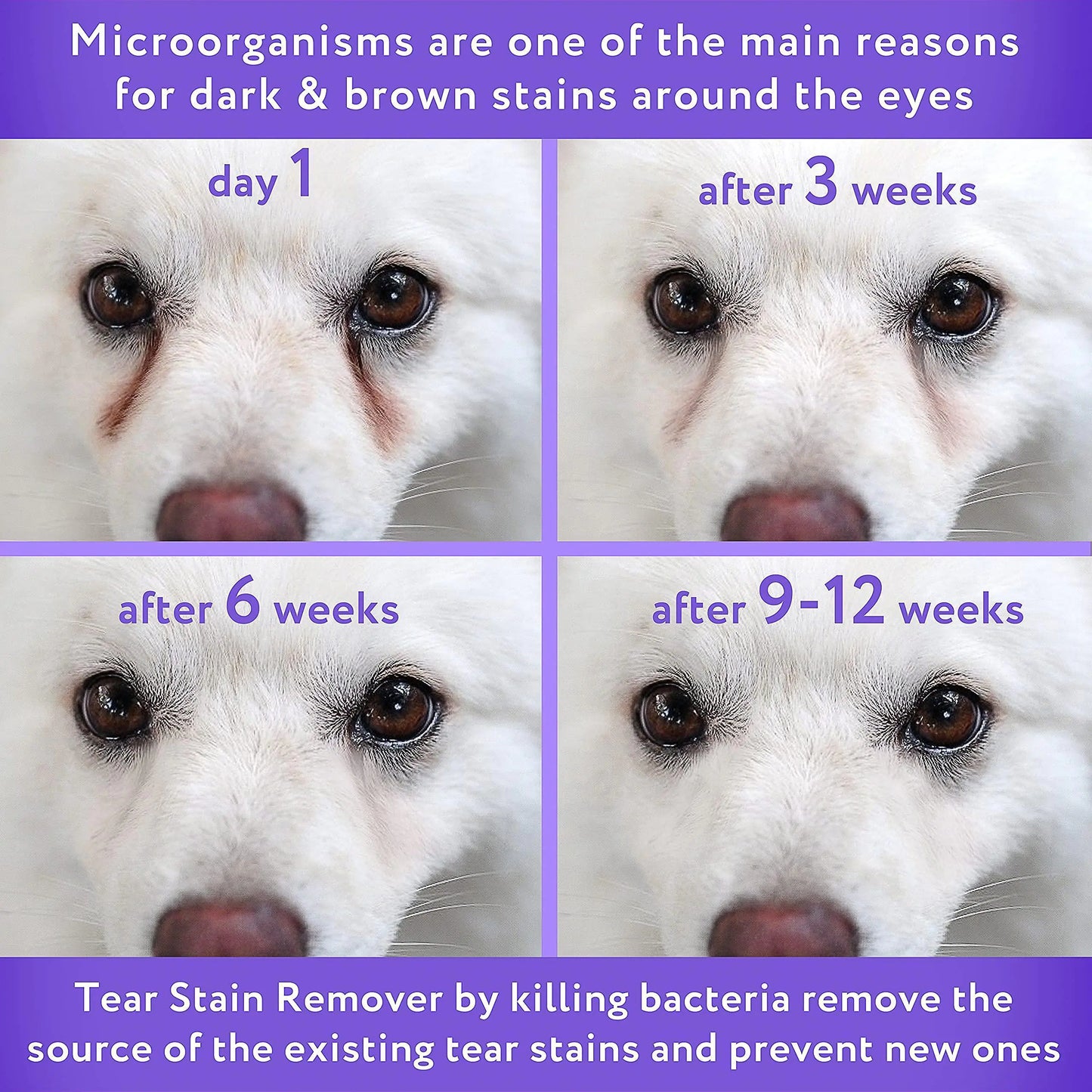 Tear Stain Remover Eye Stain Cleaner for Dogs & Cats with Natural Ingredients