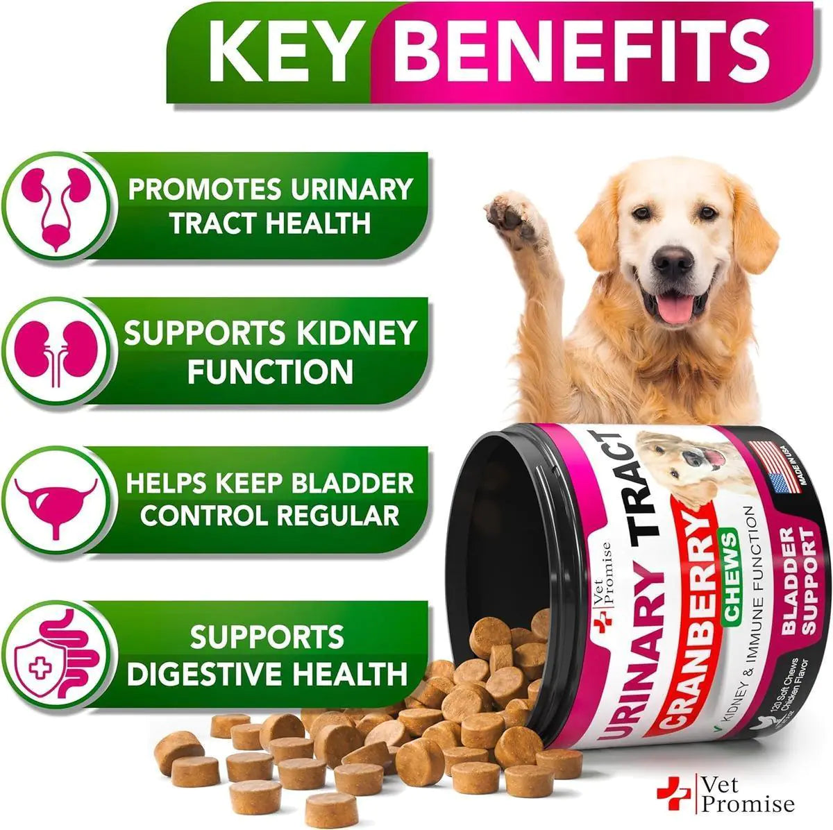 Dog UTI Treatment Cranberry Supplement for Dogs UTI Bladder Control 120 Chews