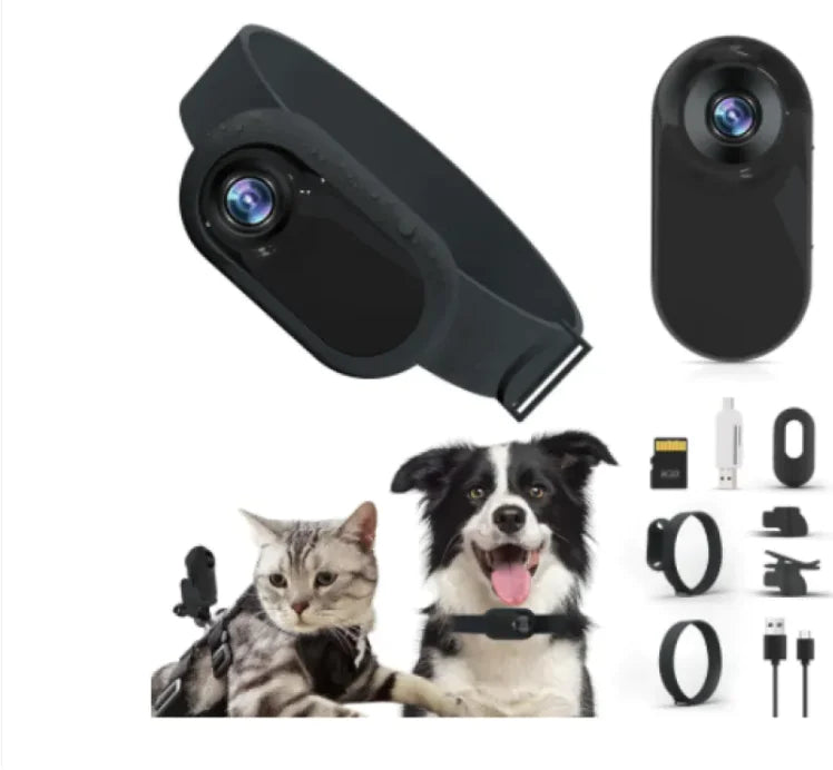 Paw Cam Wireless Pet Collar