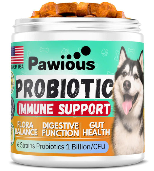 Probiotics for Dogs Digestive Enzymes Gut Flora Digestive Health Immune System