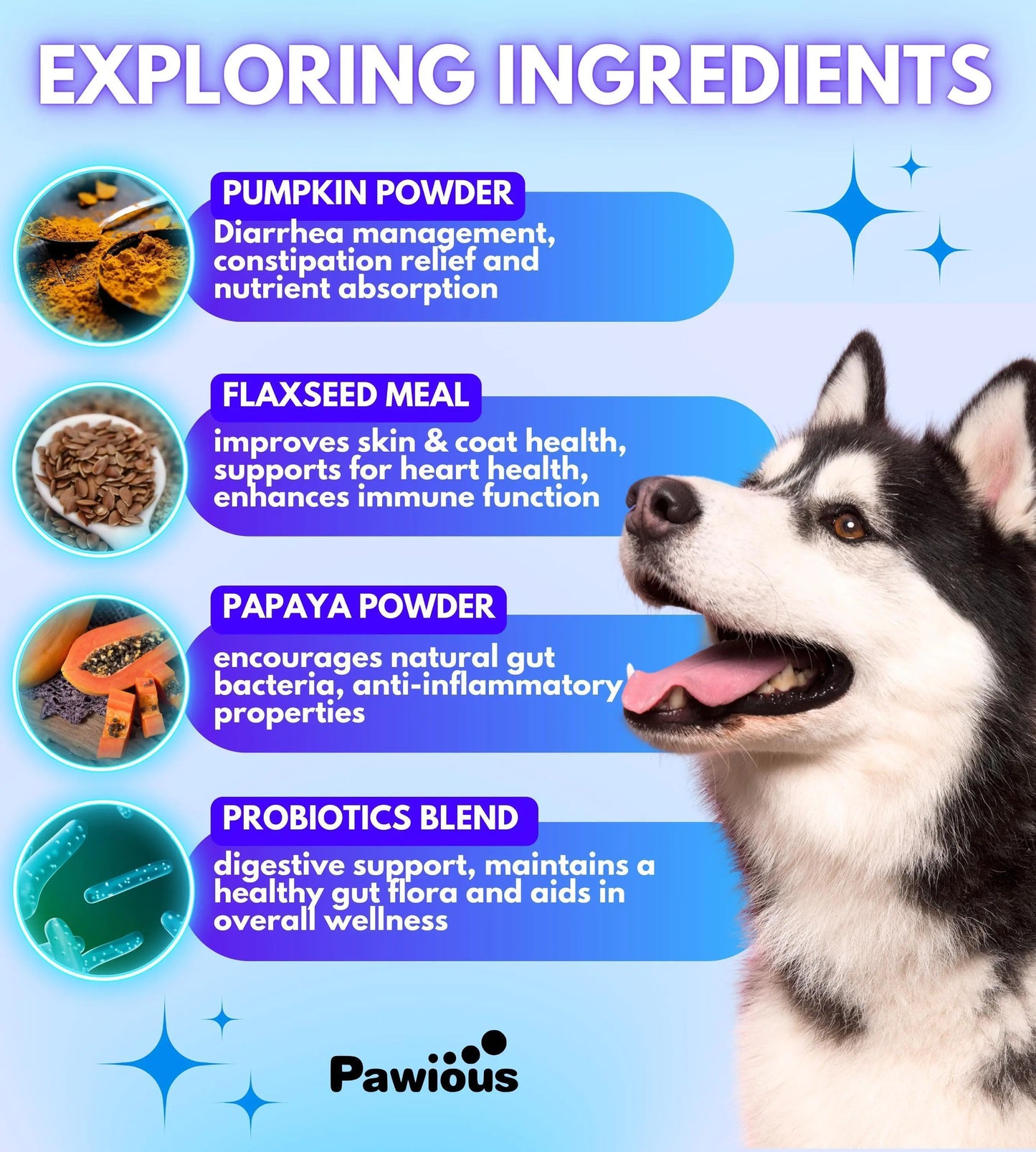 Probiotics for Dogs Digestive Enzymes Gut Flora Digestive Health Immune System